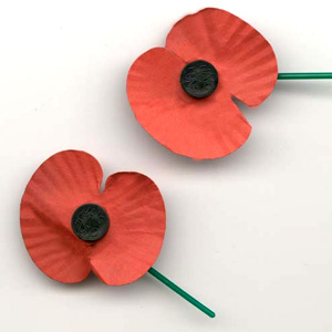 Earl Haig Poppy