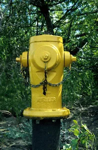 5.79 'House' Source