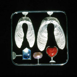 6.8 'Love Kit' 2000. Brooch; white metal, cultured pearl, aquamarine, sponge coral